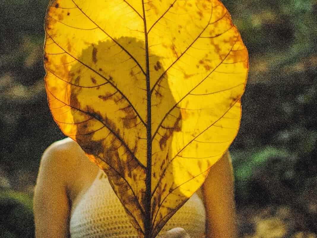 Ego x Eu superior 2 ego