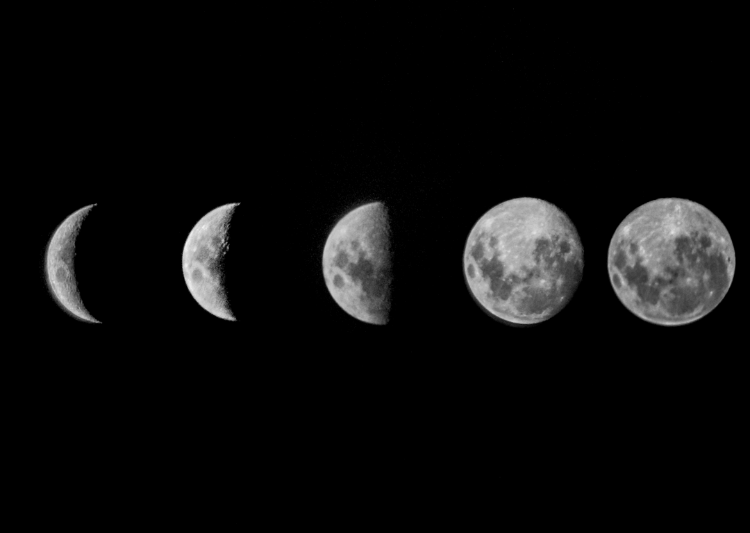 fases da lua