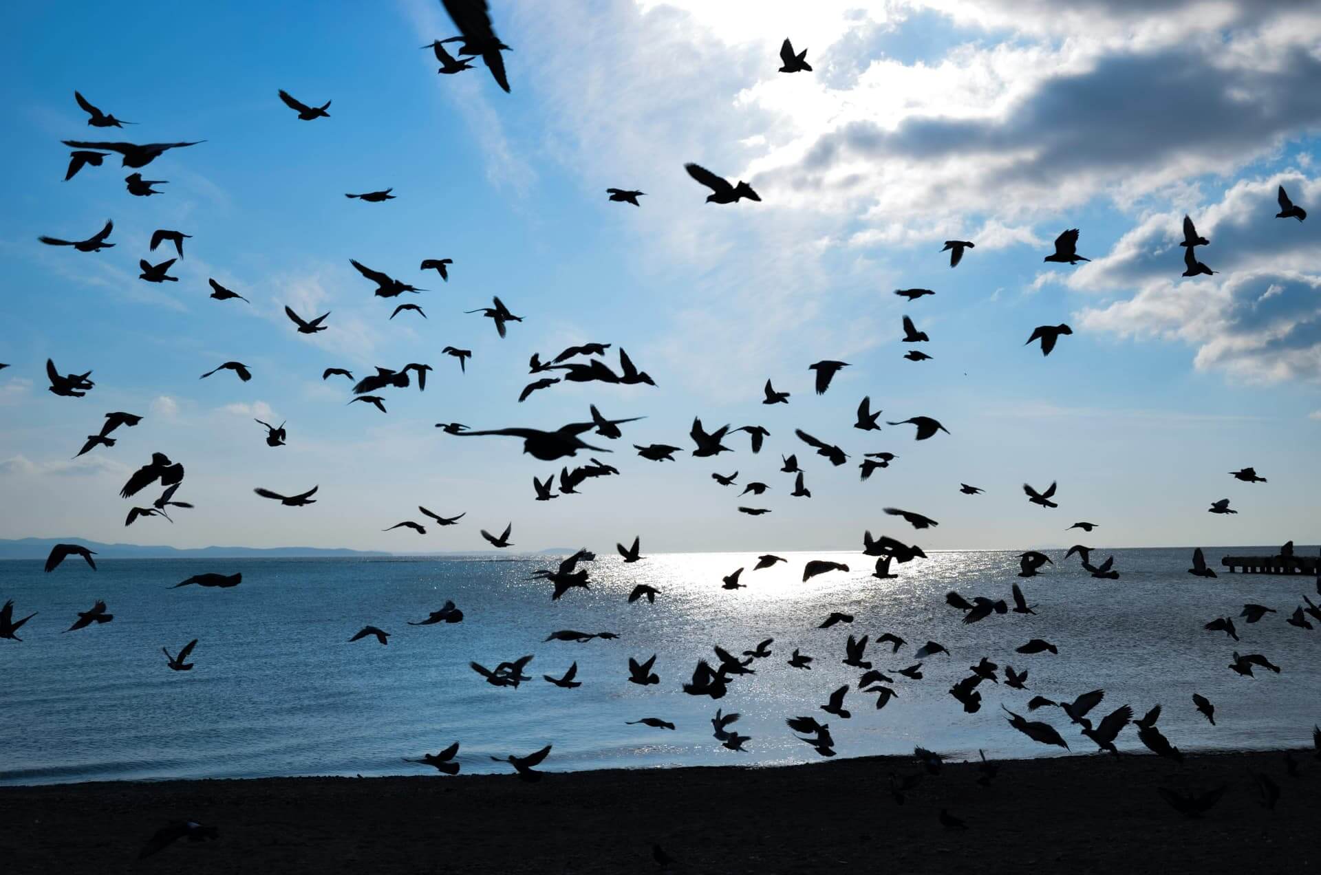 Super Portal da Abundância Dia 11/11/2023 1 portal